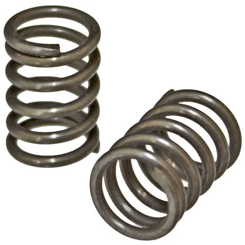 Valve Spring